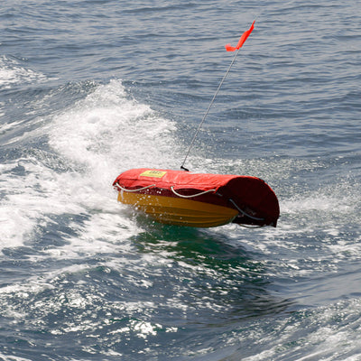 EMILY Water Rescue SAR Lifeguard Robot